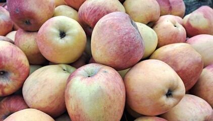 Closeup View of Red and Yellow Apple Fruits in the Fruit Market Stall