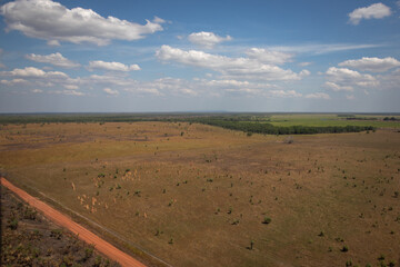 rural farming fields horizon grow plant