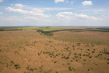 rural farming fields horizon grow plant