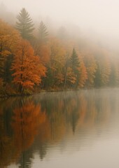 Serene autumn forest reflection