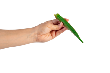 Fresh okra and hand isolated on transparent background