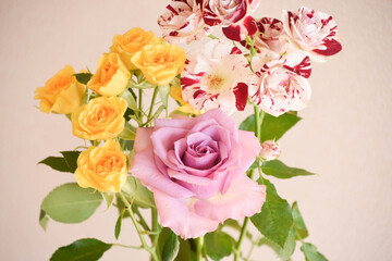 カラフルなばら