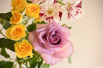 カラフルなばら