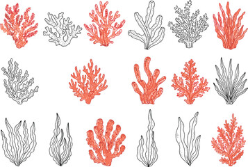 A set of various coral and seaweed illustrations, both colored and black and white, depicting marine life and ocean ecosystems.
