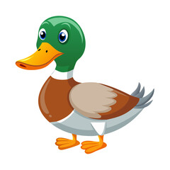 duck isolated on white background