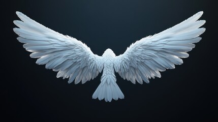 Fototapeta premium A white bird with large, outstretched wings against a dark background. Detailed feathers are visible