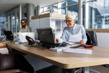 Smiling senior businesswoman using laptop sitting at desk in office