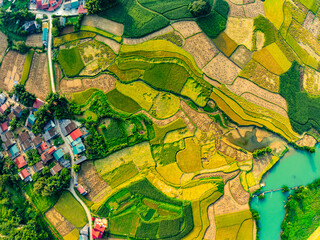 Aerial top view of Green rice field at northern vietnam,Beautiful destination in Northern Vietnam,Travel and landscape concept, Nature and rice fields background