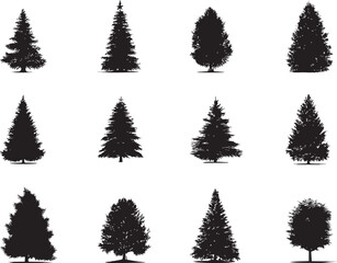 Silhouettes of Various Christmas Trees on White Background 
