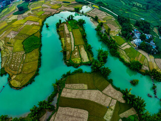 Fototapeta premium Aerial top view of Green rice field at northern vietnam,Beautiful destination in Northern Vietnam,Travel and landscape concept, Nature and rice fields background