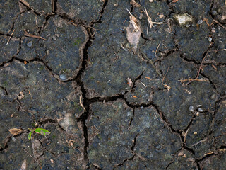 Dry cracked dark soil texture background in nature.