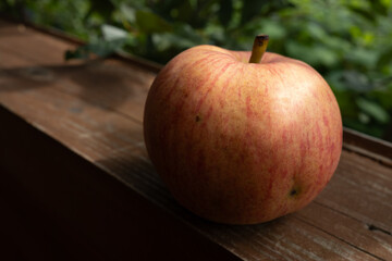 Ripe red apple on a wooden terrace in the garden. Still life with red apple.