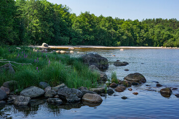 Lakeside Serenity: A Peaceful Scene with Rocks, Trees, and Water
