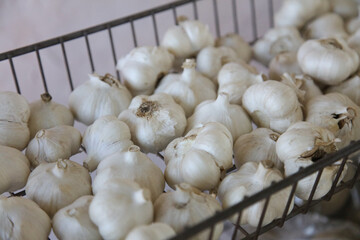 たくさんのニンニク