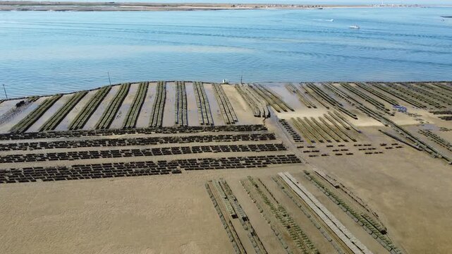 Ria Formosa riverbed with shellfish production and yachts anchored in the river