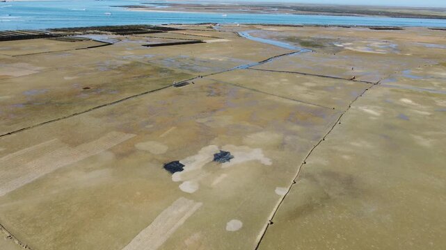 Ria Formosa riverbed with shellfish production and yachts anchored in the river
