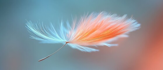 Naklejka premium A Delicate Peach and Blue Feather in Flight: A Macro Photography Study of Airy Grace and Subtle Beauty