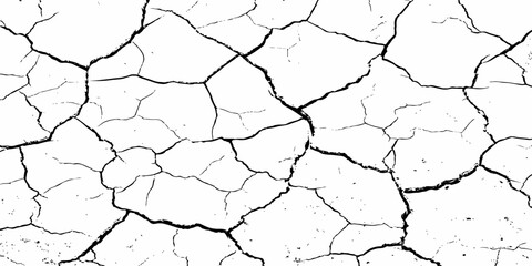 Black and white cracked ground pattern, showcasing dry, broken surface lines with high contrast, ideal for distressed textures, vintage effects, or abstract graphic backgrounds.