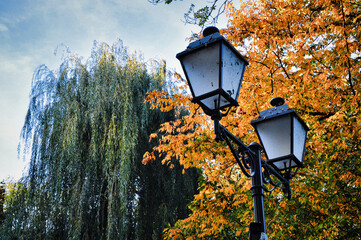  Elegancka para nostalgicznych latarni ulicznych stoi otoczona żywymi żółtymi liśćmi jesieni i zielonymi drzewami, odzwierciedlając zarówno sezonowy urok, jak i ponadczasowy miejski design. © Pol Badger