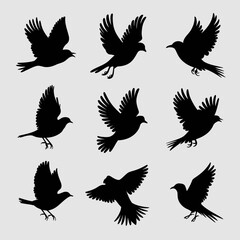 Collection of nine bird silhouettes in various flying poses isolated on white background