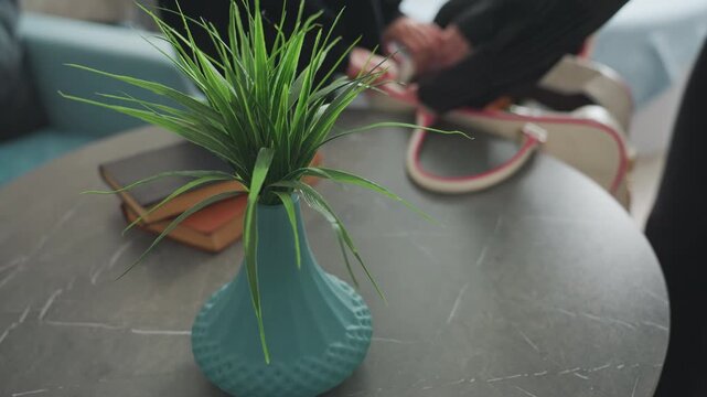 close up of decorative plant on table as two women unpack cheese and bread dropping snacks beside travel bag on modern kitchen table with soft natural light