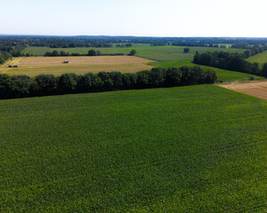 Aerial view of vast fields with green and harvest-ready arable land, with trees on the horizon, fields and trees in the district of Oldenburg, 27798 Hude, Germany