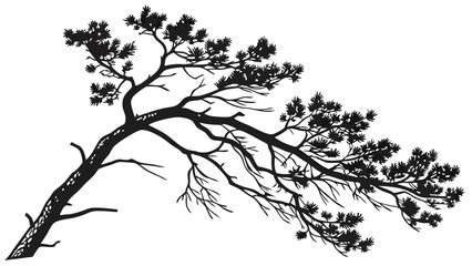 Naklejka premium Windblown pine tree silhouette vector illustration. Bent tree. Nature outdoor forest. Black and white graphic.