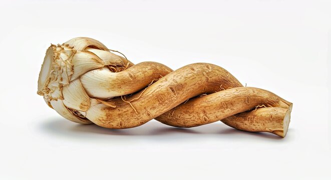 Fresh Chicory Root with an Intricate Twisted Form on White