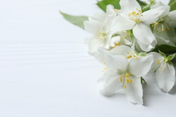 Aromatic white jasmine flowers, closeup