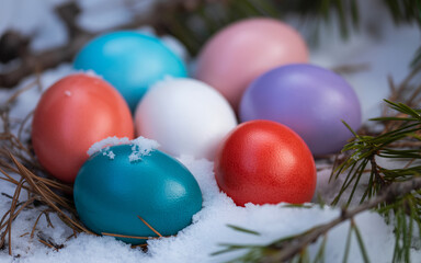 Colorful Easter eggs nestled in snow and pine needles