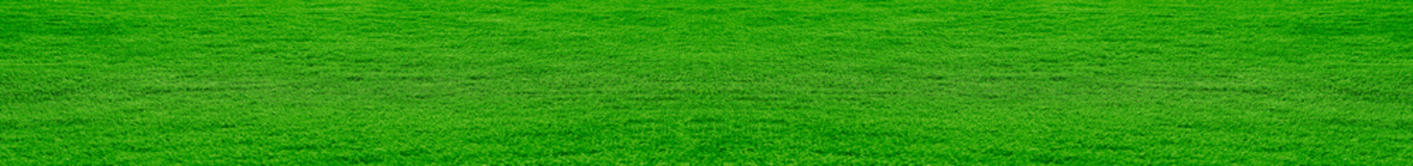 landscape green grass field in long perspective. Close-up green grass meadow without trees. empty grassland, park background, Spring time and summer season. summertime.