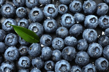 Close-up of delicious blueberries with water drops
