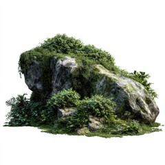 Large rock overgrown with lush greenery