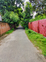 The road in the village surrounding by trees