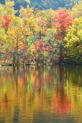 秋の乗鞍高原。松本、長野、日本。10月中旬。