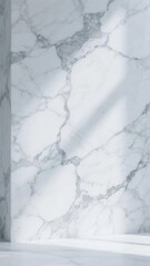 White marble wall with intricate gray veining and soft lighting