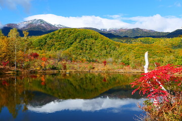 秋の乗鞍高原。松本、長野、日本。10月中旬。
