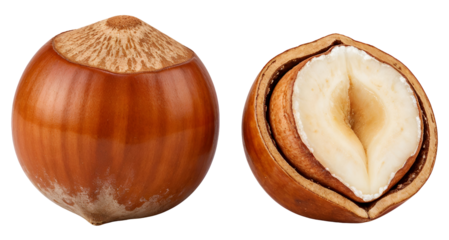 Hazelnuts (whole + shelled) , isolated on transparent background, png