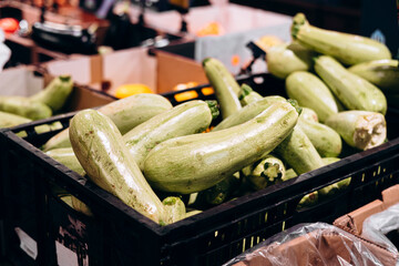 Imperfect organic zucchinis in boxes at supermarket, seasonal summer vegetables.