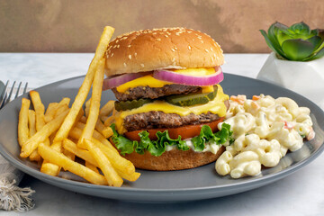 double cheese burger with  macaroni salad and  fries