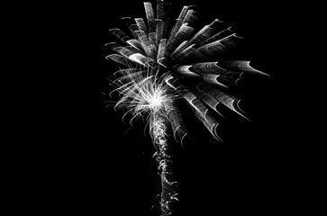 Fireworks in black and white