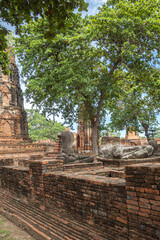 アユタヤの遺跡 タイ王国