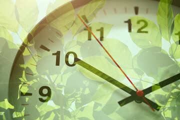 Time clock over the green plant nature for Times to saving environment go green planting the tree