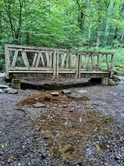 bridge over the river.  Wooden footbridge over a stream in a green deciduous forest in clear summer...