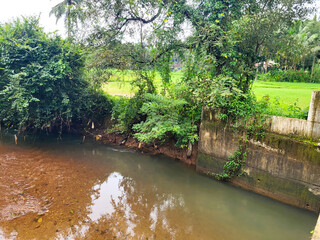 Lush green foliage frames a serene natural stream flowing through a tranquil rural landscape with...