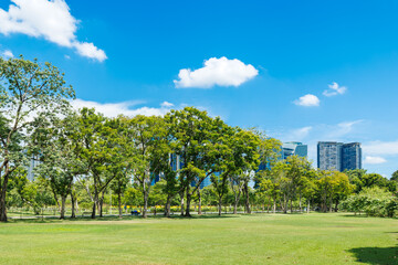 Public park in modern green city, Metro greenery space for ozone saving environment summer blue sky