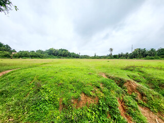 Expansive green meadow under a dramatic cloudy sky with distant trees and a power line offering a...