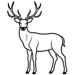 deer vector illustration