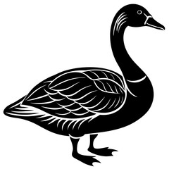 goose isolated on white background