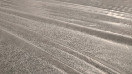 Naklejka premium Clear plastic covering the gray carpet. Plastic covering the floor to prevent scratches. Clear plastic to prevent damage. Plastic surface with gray carpet. Texture and background.